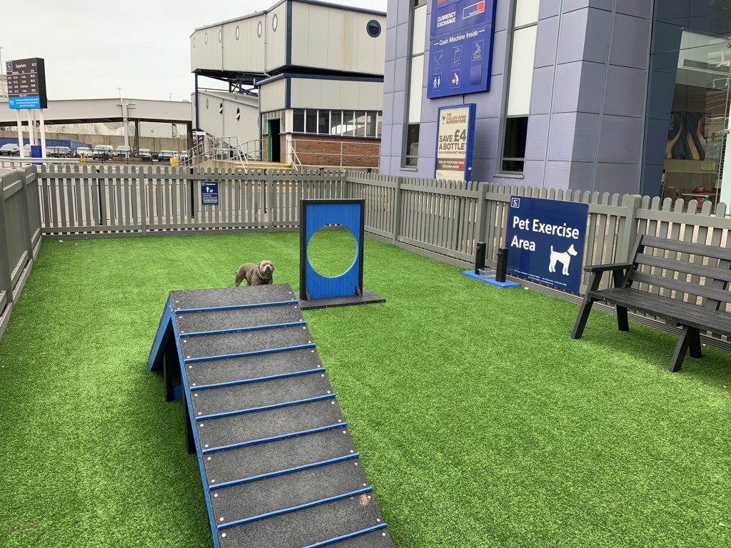 Pepper in the Dover pet exercise area